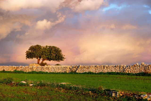 a alfarroba - Ragusa | Secret World Trip Planner