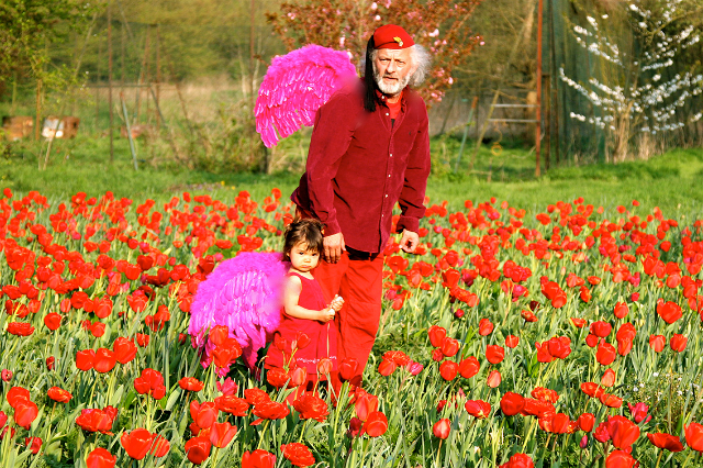 he Yellow Mill - Crécy-la-Chapelle | Secret World Trip Planner
