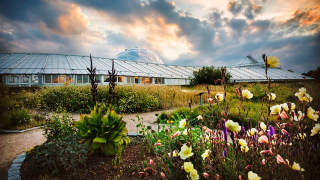 Botanisk Have (Jardín Botánico) - Aarhus | Secret World Trip Planner