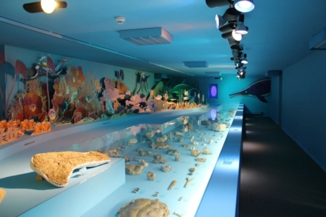 Muzeum JURASYKA - Porrentruy | Secret World Trip Planner