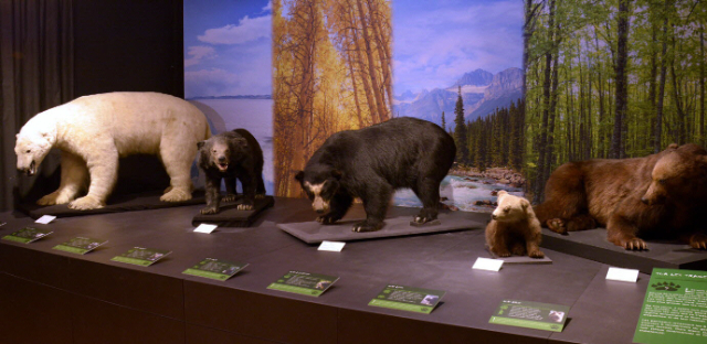 Muzeum JURASYKA - Porrentruy | Secret World Trip Planner