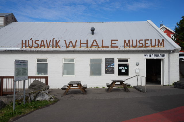 Museo della Balena - Húsavík | Secret World Trip Planner