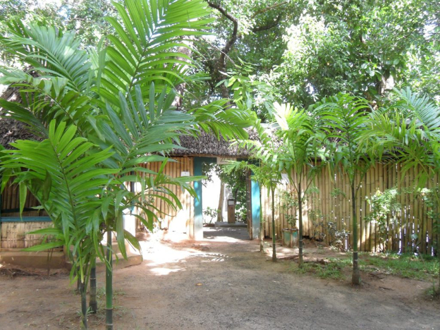 Parco Ivoloina - W9R5+756 | Secret World Trip Planner