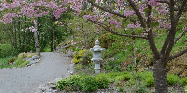 bergen botanical garden - Skipanesvegen 45 | Secret World Trip Planner