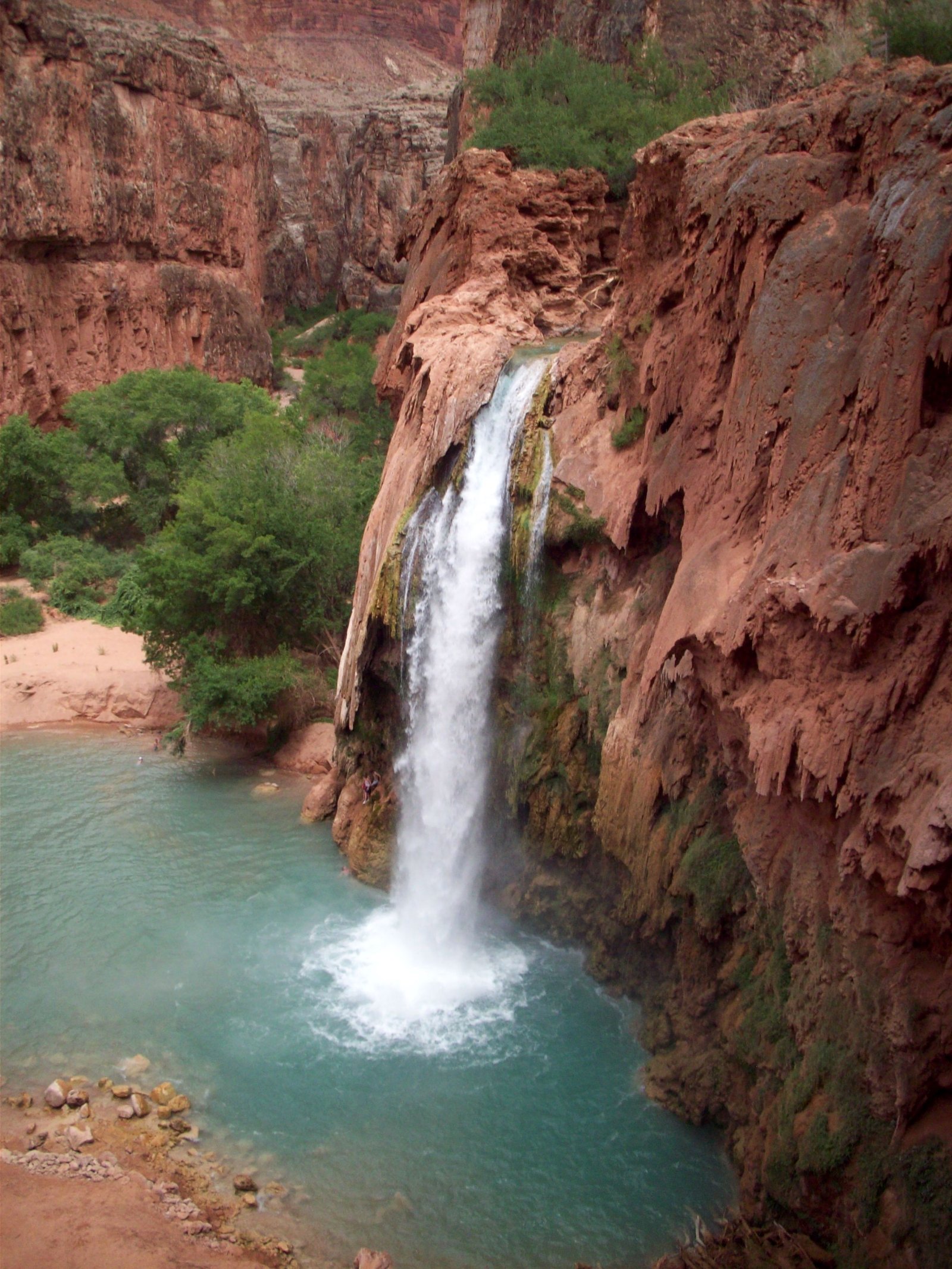 Arizona: Havasu Falls  - Havasu Falls | Secret World Trip Planner