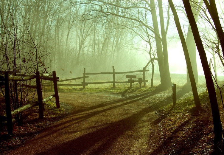 Mercurago泻湖公园 - Provincia di Novara | Secret World Trip Planner