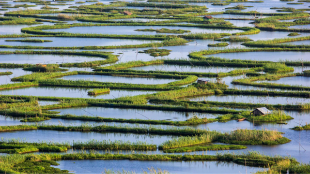 ロクタク湖の浮島 - Loktak Lake | Secret World Trip Planner
