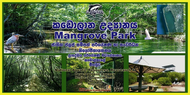 奈良マングローブ園 - Negombo | Secret World Trip Planner