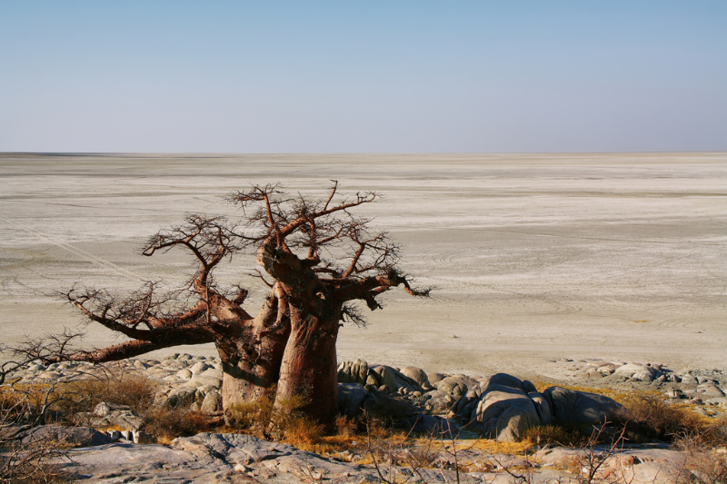 팬, 보츠와나 - Makgadikgadi Pans | Secret World Trip Planner