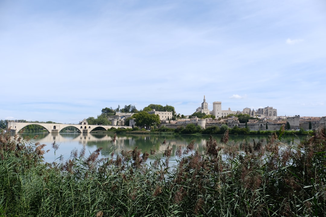 Villeneuve-lès-Avignon and the City of the Popes - Villeneuve-lès-Avignon | Secret World Trip Planner