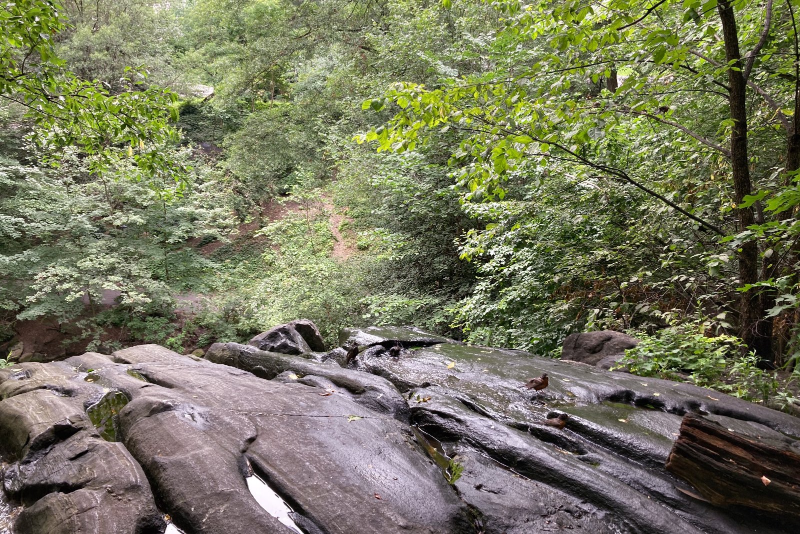 ハレット自然の聖域は楽園の秘密のスライスです - New York | Secret World Trip Planner