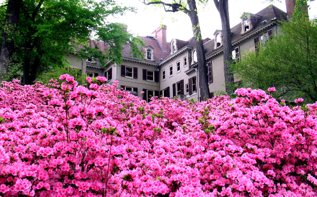 Музей, сад и библиотека Винтертура - Winterthur | Secret World Trip Planner