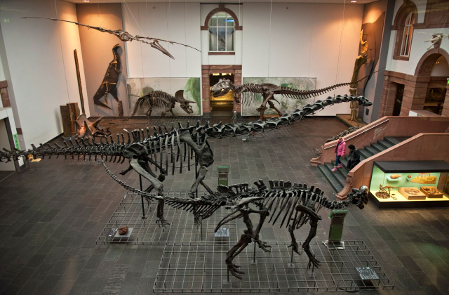 Musée d'histoire naturelle - Frankfurt am Main | Secret World Trip Planner