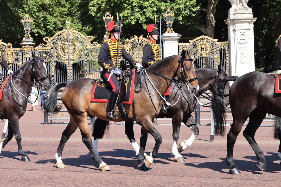 Museu da Cavalaria doméstica: um museu vivo no coração da Guarda de Cavalos. - Westminster | Secret World Trip Planner