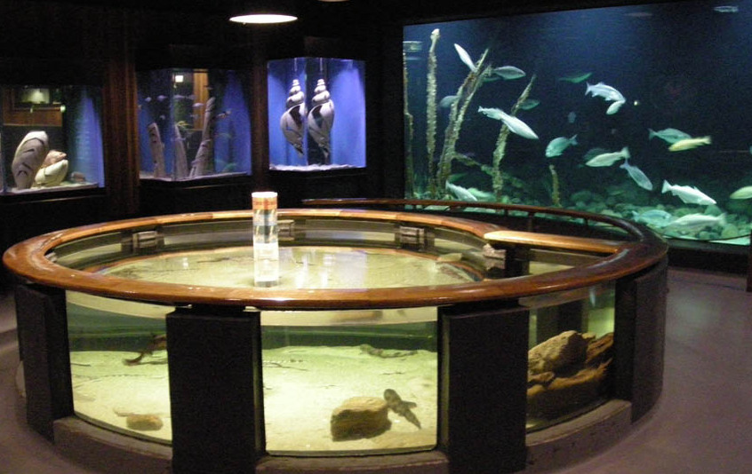 El Museo Marítimo y de Pesca de Esbjerg — Esbjerg