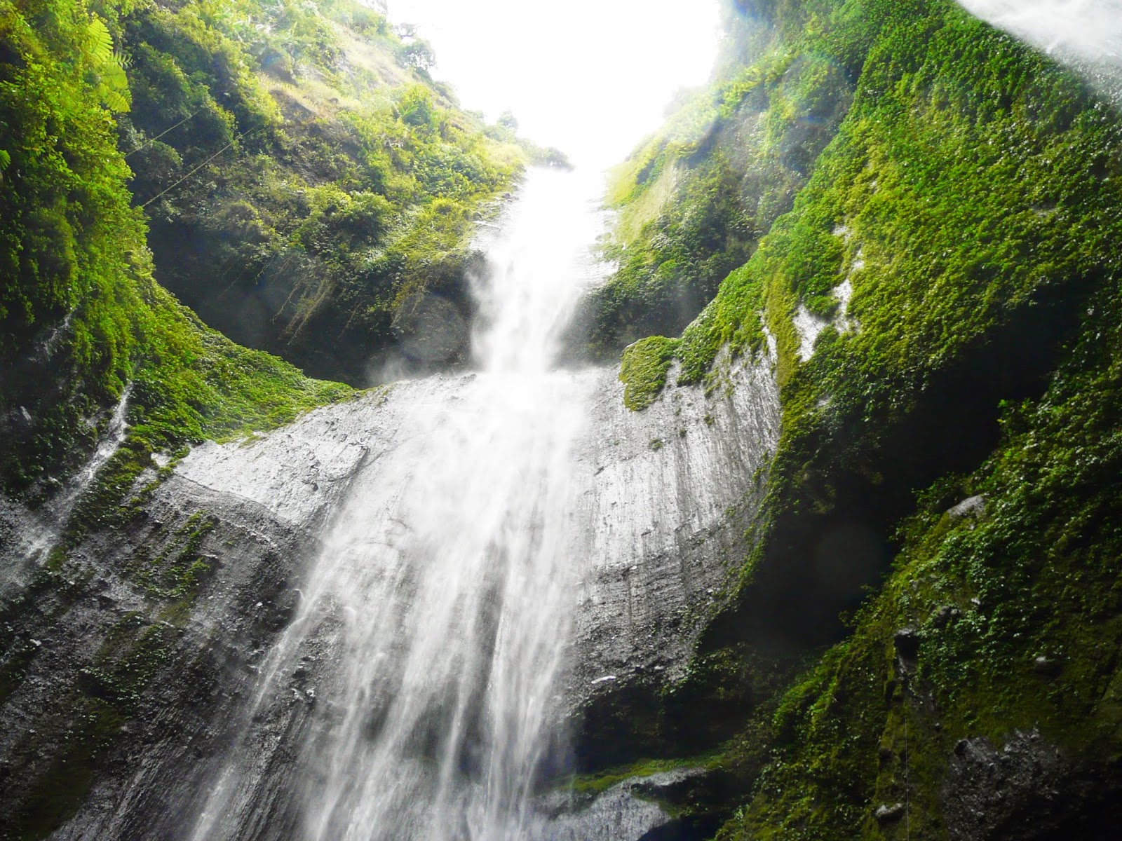 A encantadora cascata Madakaripura — Probolinggo