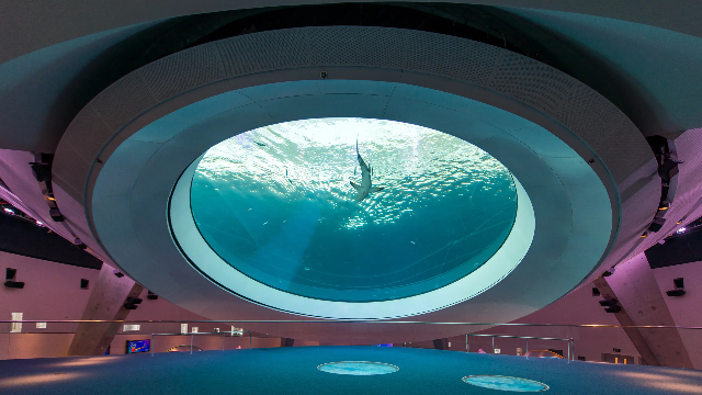 Phillip i Patricia Frost Muzeum Nauki - Miami | Secret World Trip Planner