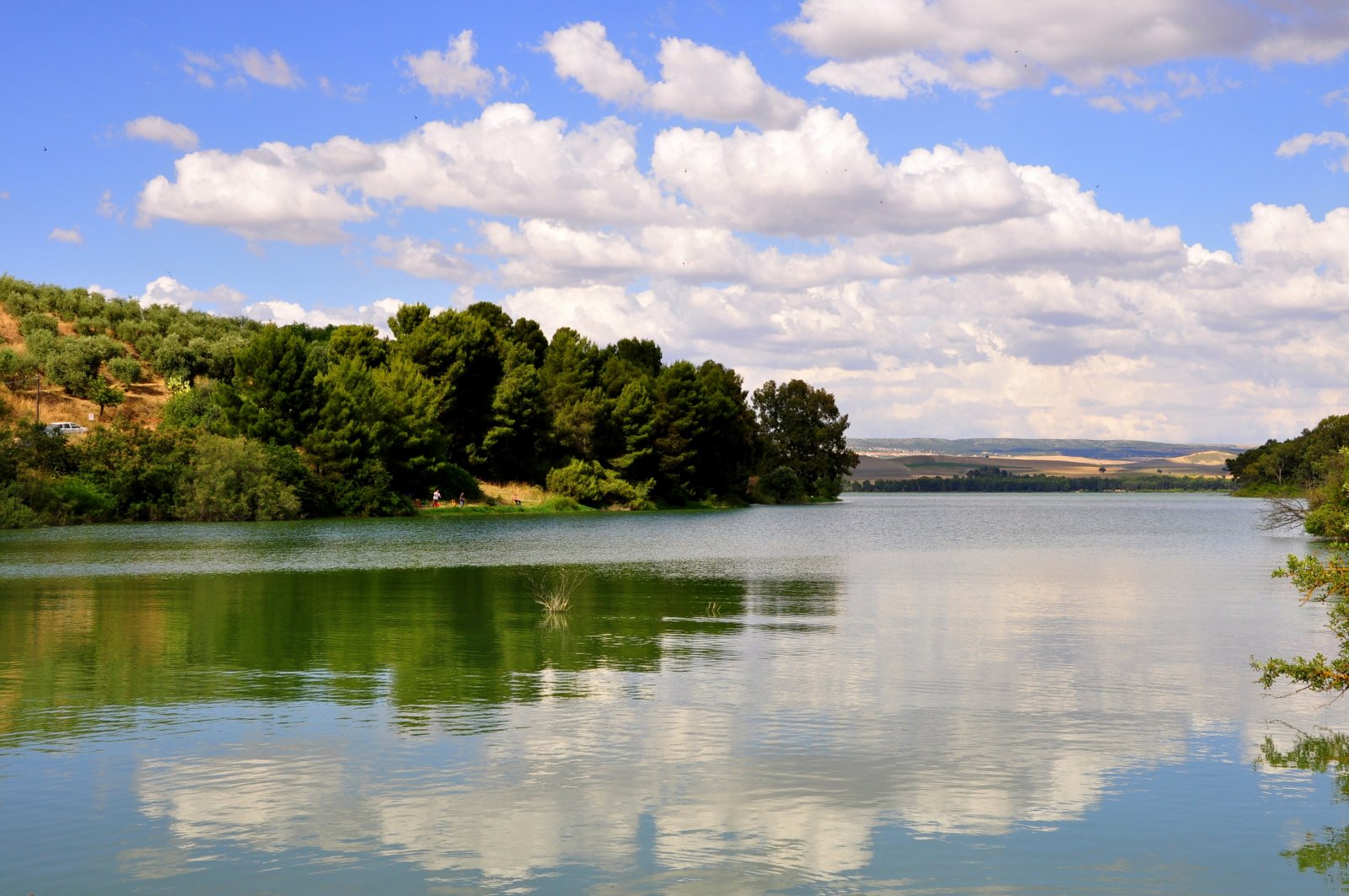 Oasi WWF Lago di San Giuliano  - Lago di San Giuliano | Secret World Trip Planner