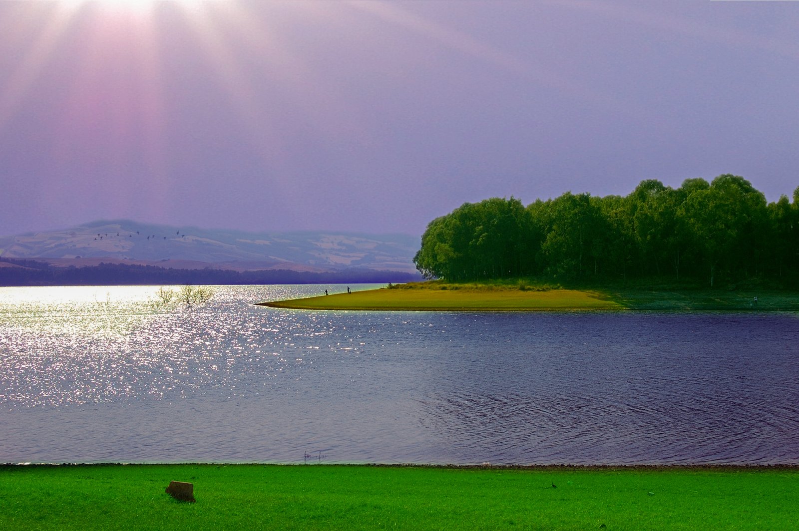 Oasi WWF Lago di San Giuliano  - Lago di San Giuliano | Secret World Trip Planner