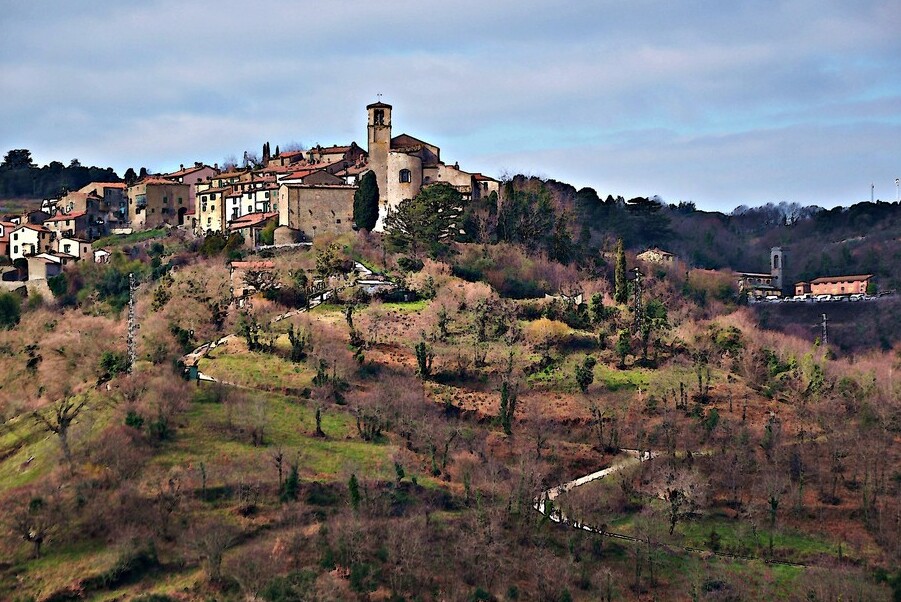 Muzeum Archeologiczne i winogron i wina - Scansano | Secret World Trip Planner