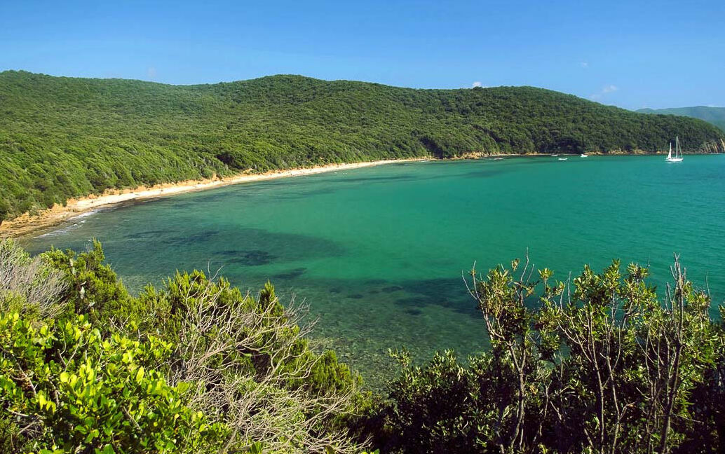 Cala Violina, oaza w śródziemnomorskiej roślinności - Calaviolina 1 | Secret World Trip Planner