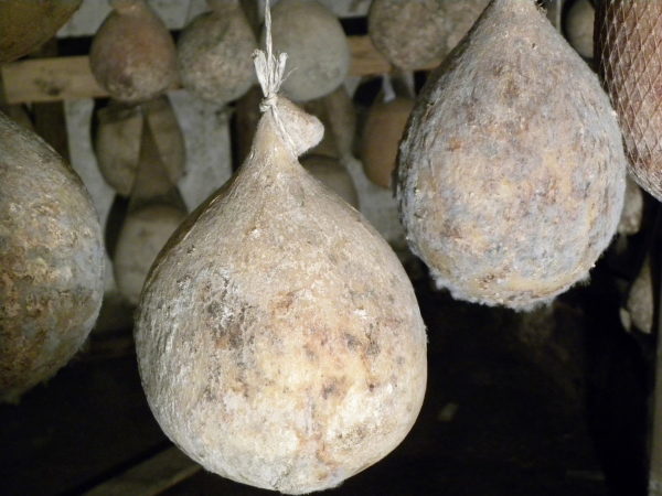 Caciocavallo irpino Di grotta - Montella | Secret World Trip Planner