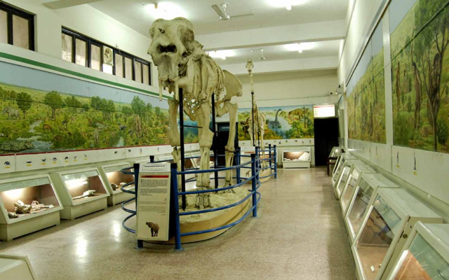 Пакистанский музей естественной истории (PMNH) - Islamabad | Secret World Trip Planner