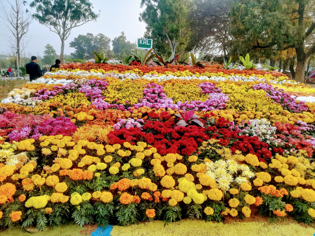 Jardín de rosas y jazmines - Islamabad | Secret World Trip Planner