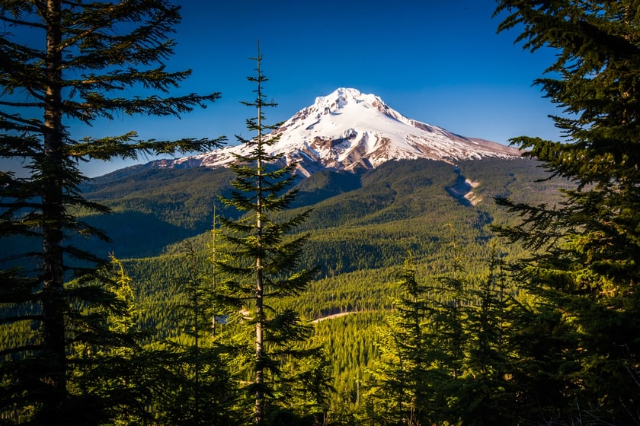 Национальный лес Маунт-Худ - Mt Hood National Forest | Secret World Trip Planner