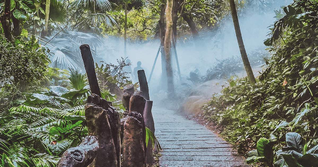 Selva tropical - Xiamen | Secret World Trip Planner