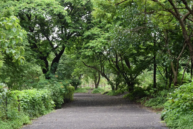 Parc naturel de Maharashtra - Mumbai | Secret World Trip Planner