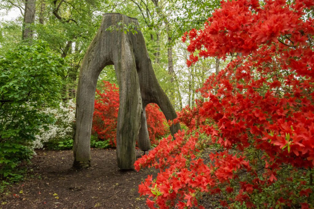 温特图尔博物馆、花园和图书馆 - Winterthur | Secret World Trip Planner