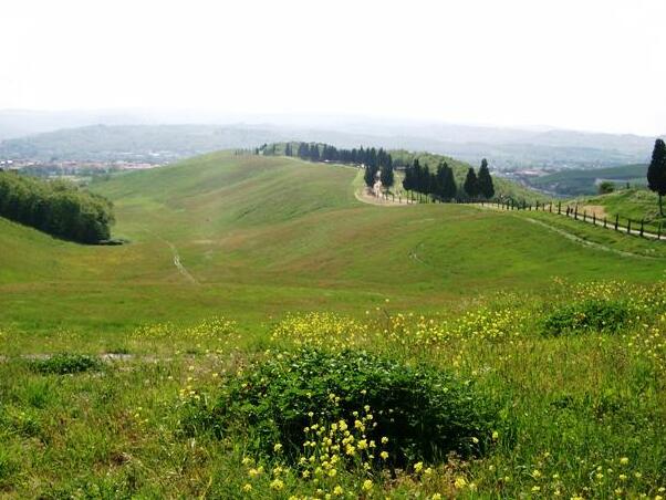 Toskania / Park Canonica - 50052 Certaldo FI | Secret World Trip Planner