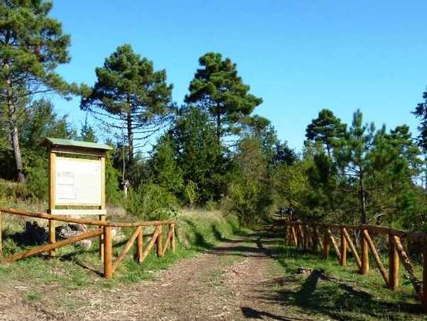 Toskania / lasy Cerbaie - Cerbaie | Secret World Trip Planner