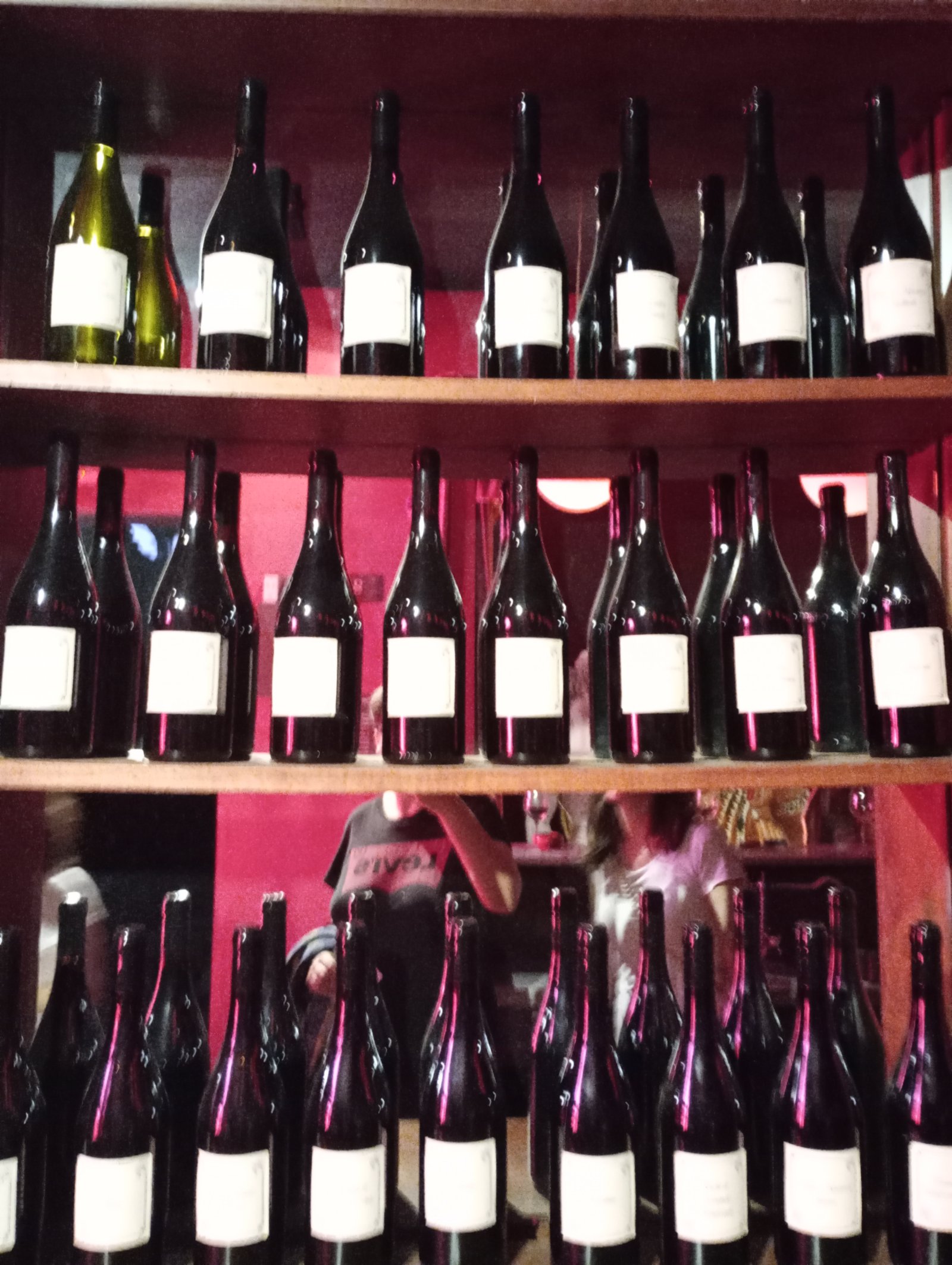 Barolo el Rey de los Vinos - Mundo Secreto - Barolo | Secret World Trip Planner