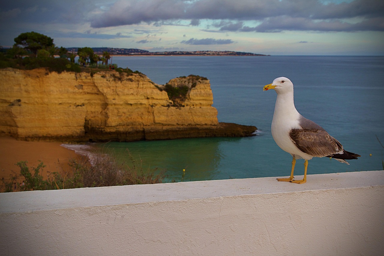 アルブフェイラ - Albufeira | Secret World Trip Planner