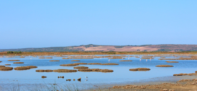 Stagno di Cabras — Stagno di Càbras