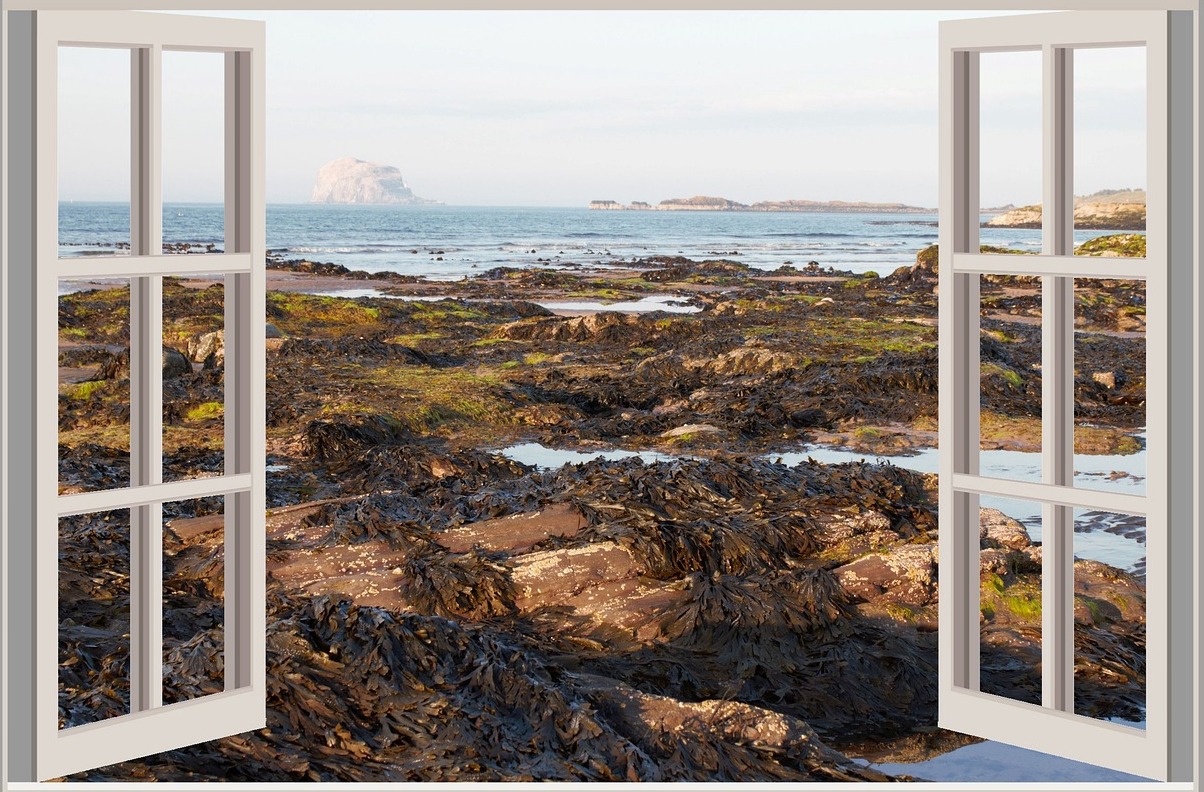 Scotland: the Bass Rock, or simply the Bass - Bass Rock | Secret World Trip Planner