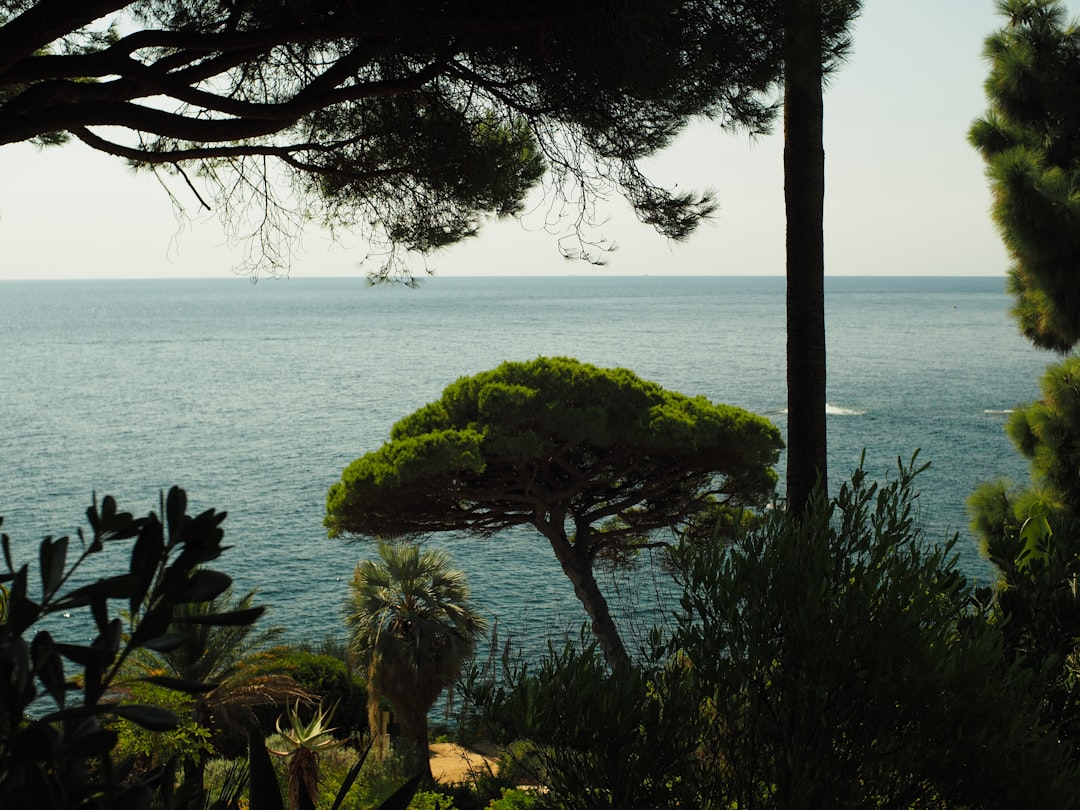 Conca Dei Marini / бесконечный морской сад - Conca dei Marini | Secret World Trip Planner
