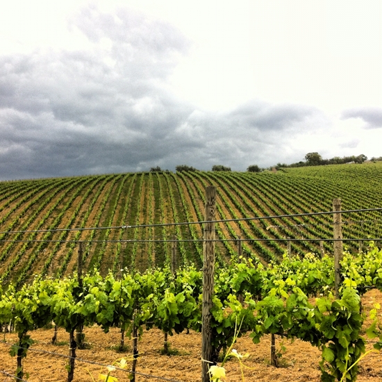 Cantine Mastroberardino - Atripalda | Secret World Trip Planner