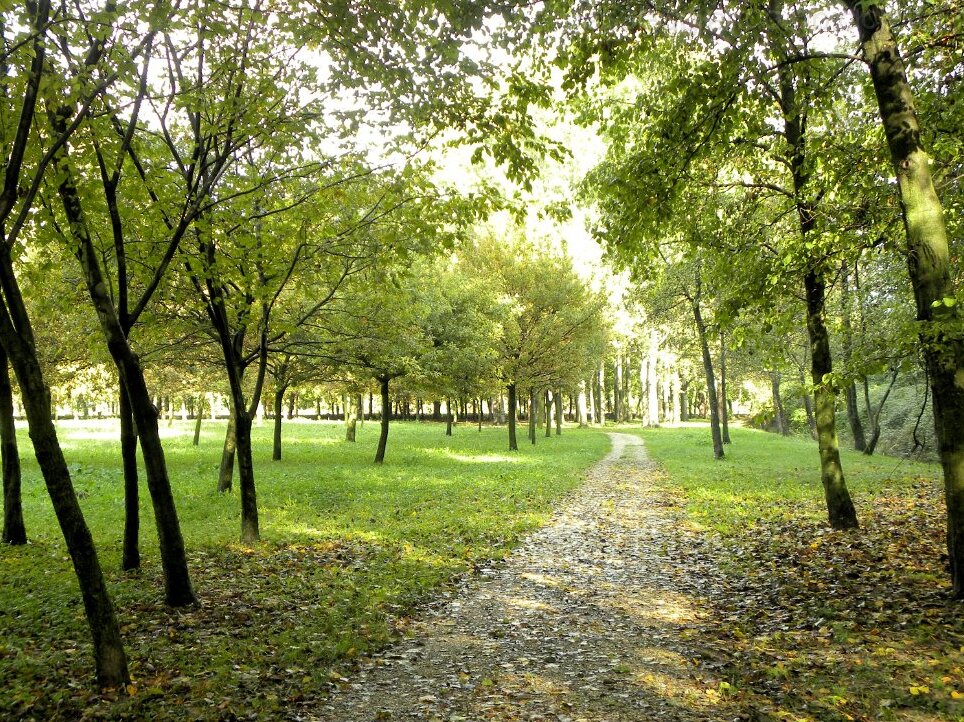 The Resurgence Park - Codroipo | Secret World Trip Planner