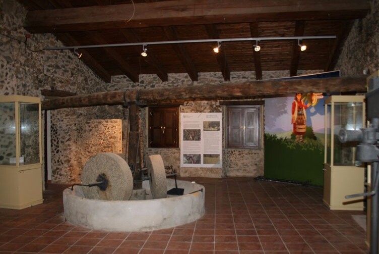 Museo dell’Olio di oliva e della Civiltà contadina - Zagarise | Secret World Trip Planner