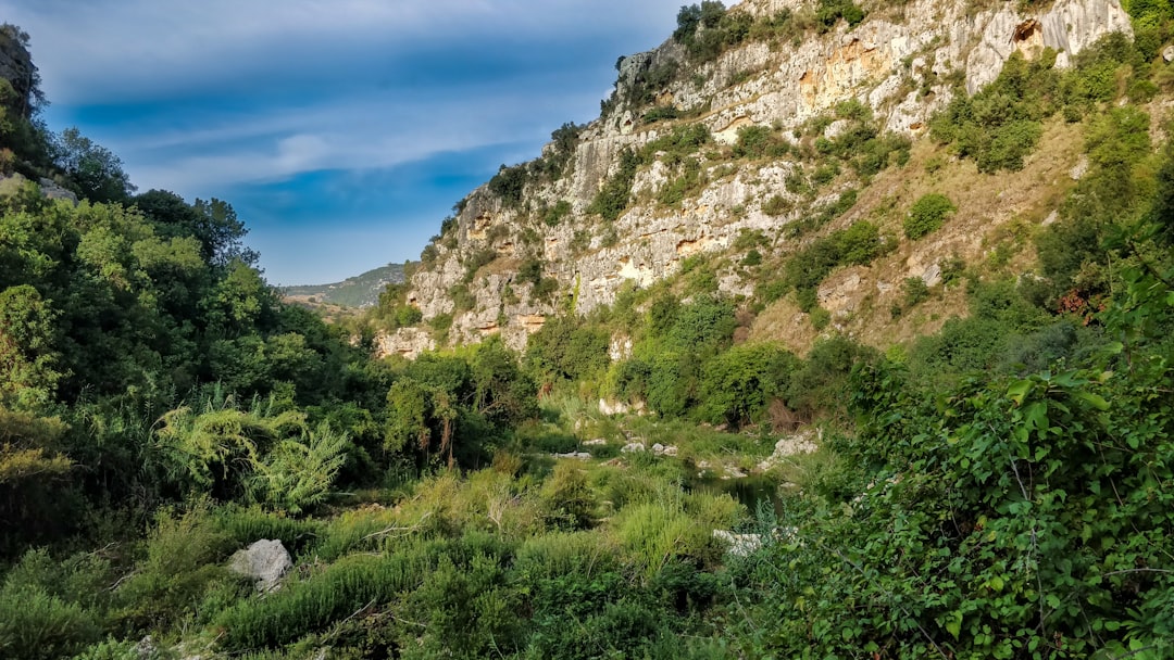 Calabria | The Valli Cupe Nature Reserve - 88054 | Secret World Trip Planner
