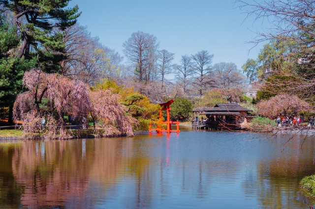 Giardino botanico di Brooklyn - Brooklyn | Secret World Trip Planner
