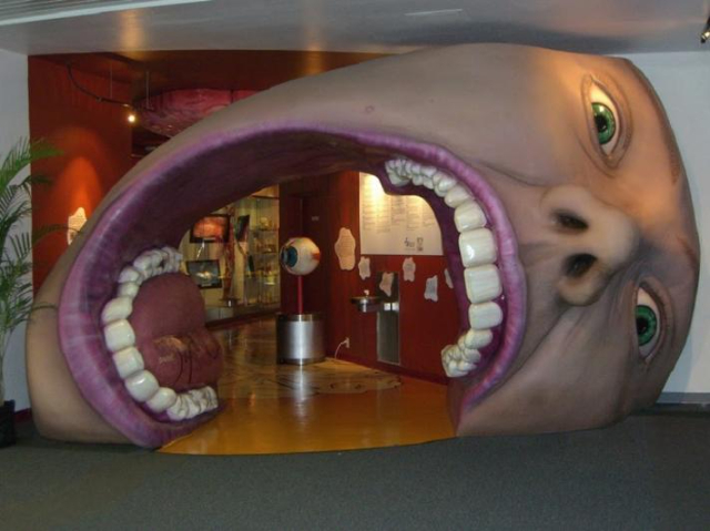 Esplora l'affascinante mondo del corpo umano al Museo del Corpus - Oegstgeest | Secret World Trip Planner