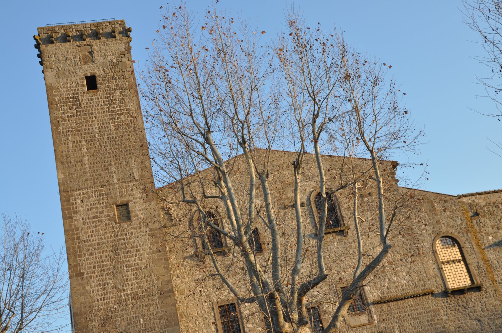Rocca Albornoz和国家考古博物馆 - Viterbo | Secret World Trip Planner