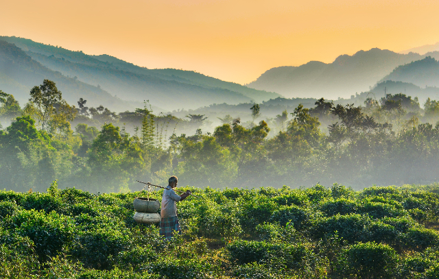 Tamabil-Jaflong: A Border Outpost with Views - Jaflong | Secret World Trip Planner