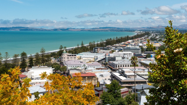 Napier - Napier | Secret World Trip Planner