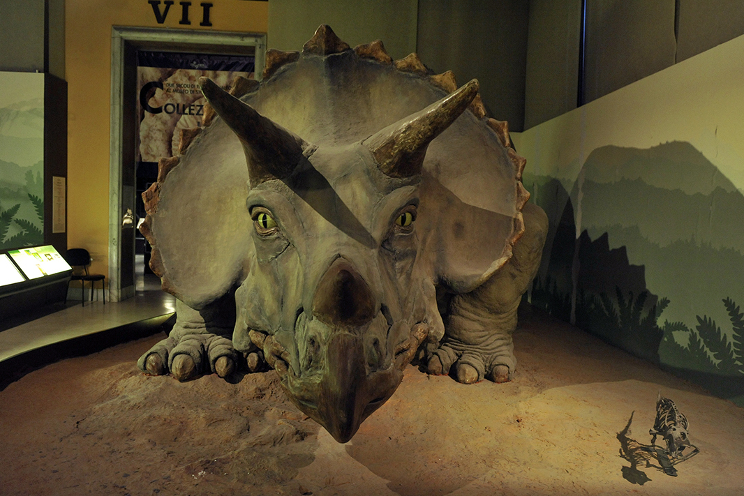 Natural History Museum of Milan - Milano | Secret World Trip Planner