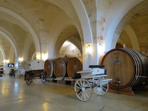 Museo della Civiltà del Vino Primitivo - Manduria | Secret World Trip Planner